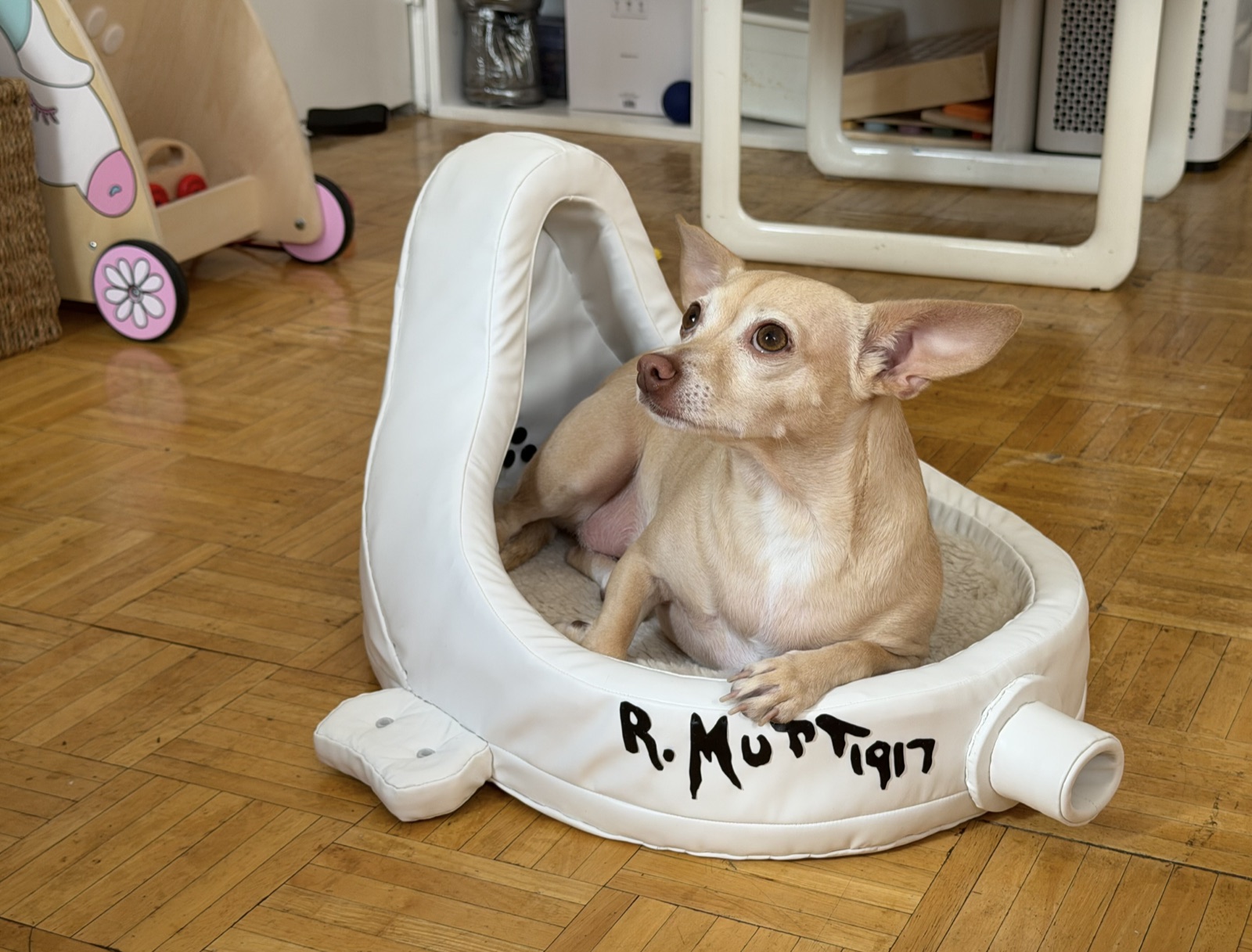 A chihuahua resting in the plush urinal dog bed on a parquet floor at home
